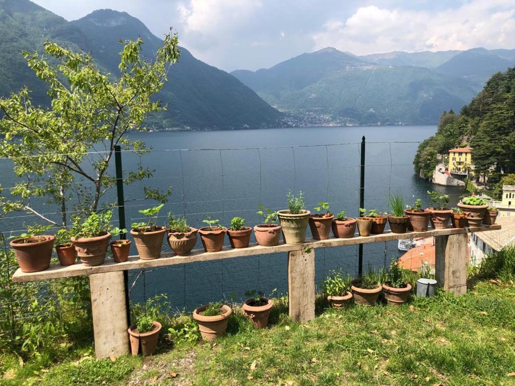 Gli Orti Della Civera " Cottagecore" Amazing View Nesso Buitenkant foto