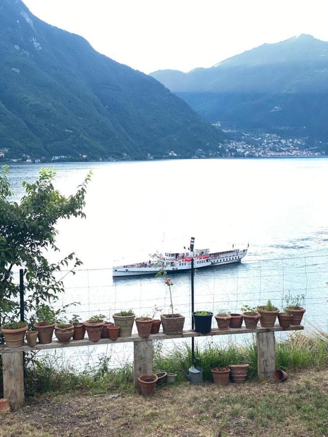 Gli Orti Della Civera " Cottagecore" Amazing View Nesso Buitenkant foto